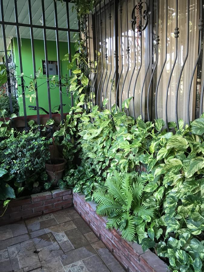 Ruiselares Apartment Puntarenas Exterior photo